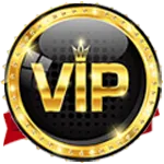 vip services